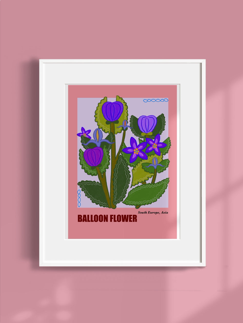 Botanical Art Print- Balloon Flower- Unframed
