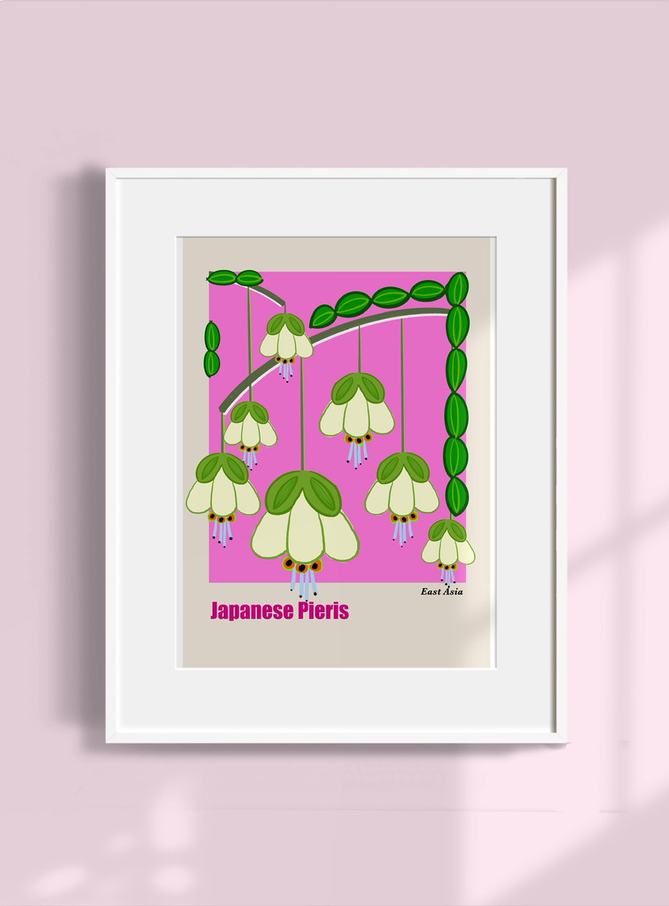 Botanical Art Print- Japanese Pieris- Unframed