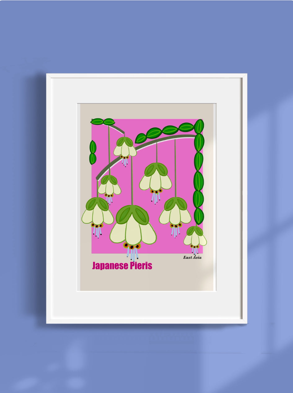 Botanical Art Print- Japanese Pieris- Unframed