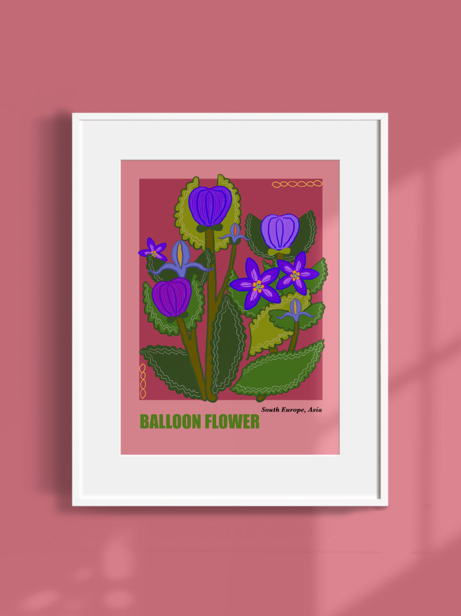 Botanical Art Print- Balloon Flower- Unframed