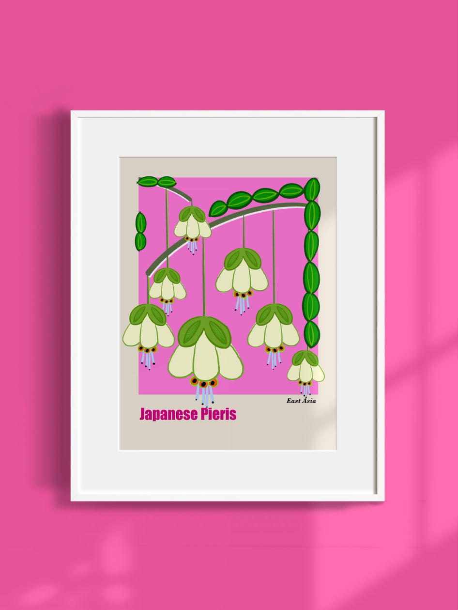 Botanical Art Print- Japanese Pieris- Unframed