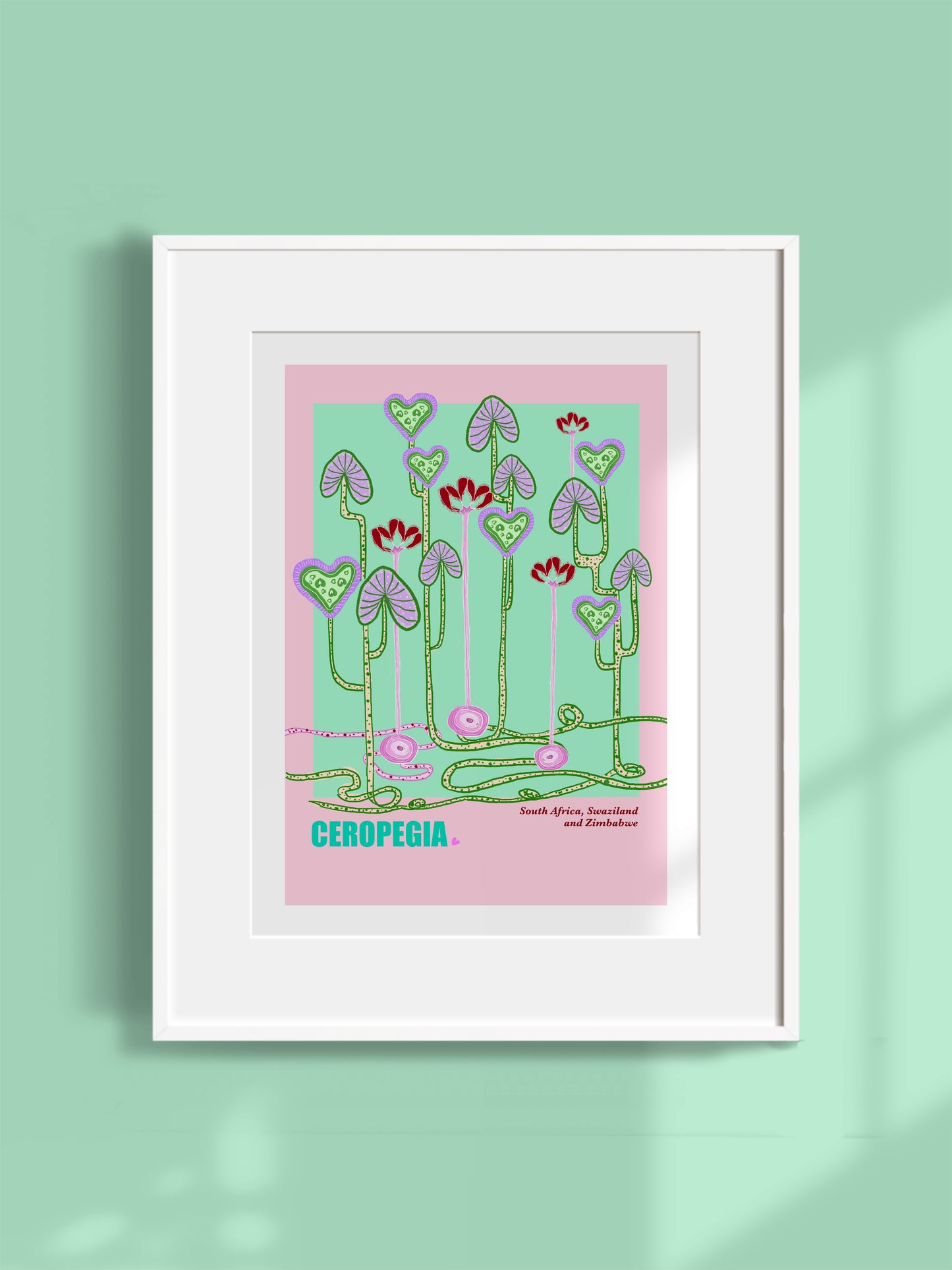 Ceropegia Art Print (Unframed)