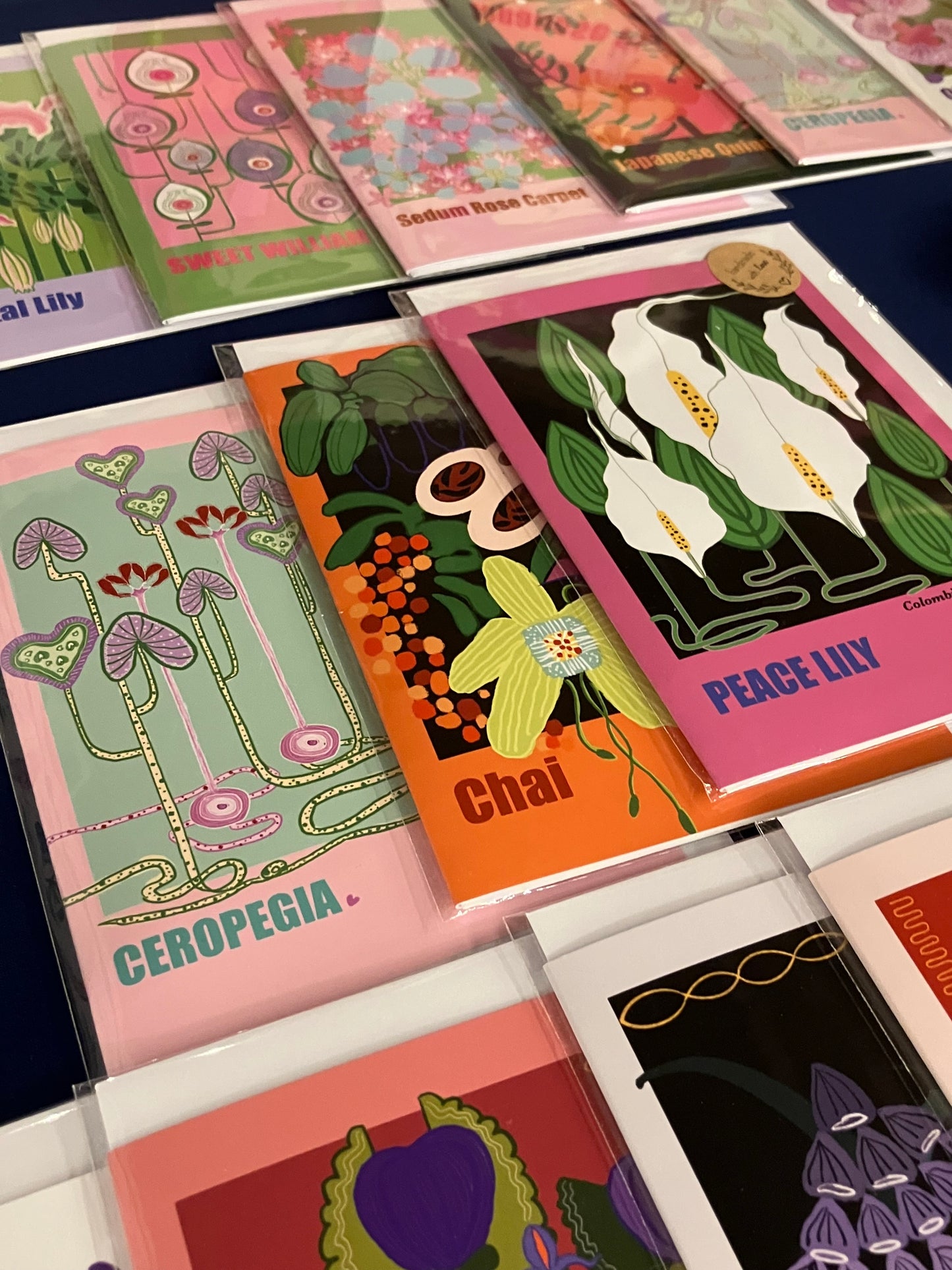 Greeting Cards-whole collection-24pack