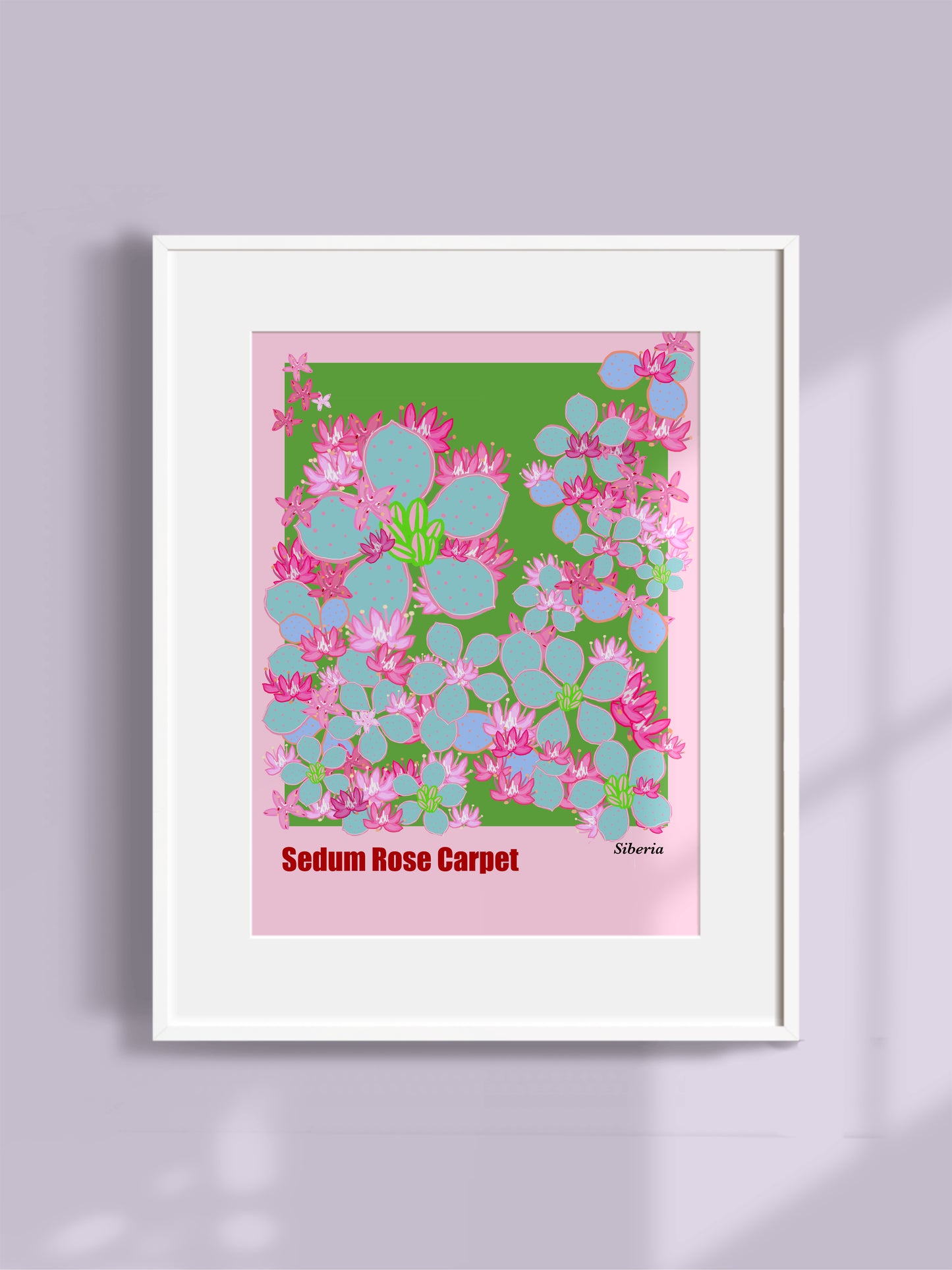 Botanical Art Print - Sedum Rose Carpet-Unframed