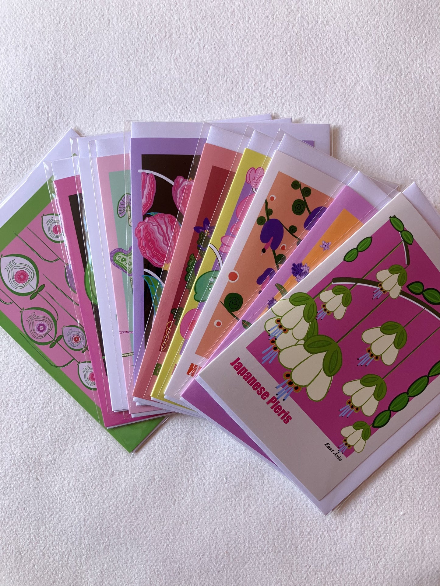 Greeting Cards-whole collection-24pack