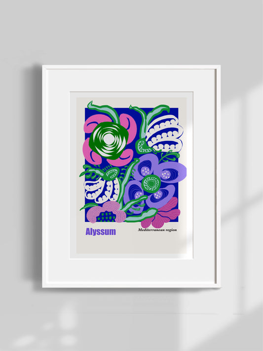 Alyssum Art Print (Unframed)