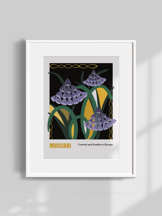 Muscari Art Print (Unframed)