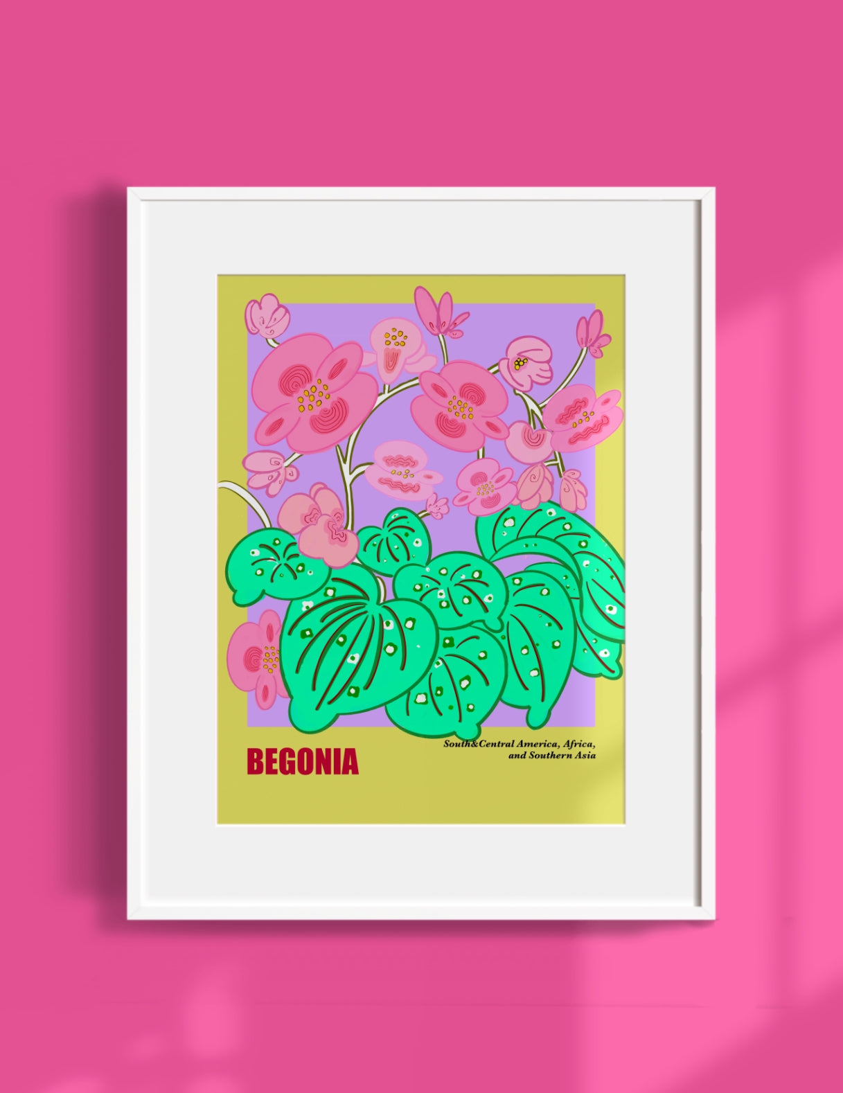 Begonia Art Print - Unframed